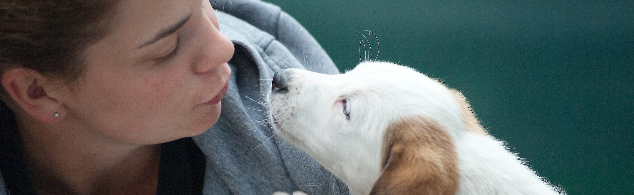 Woman looking closely at puppy