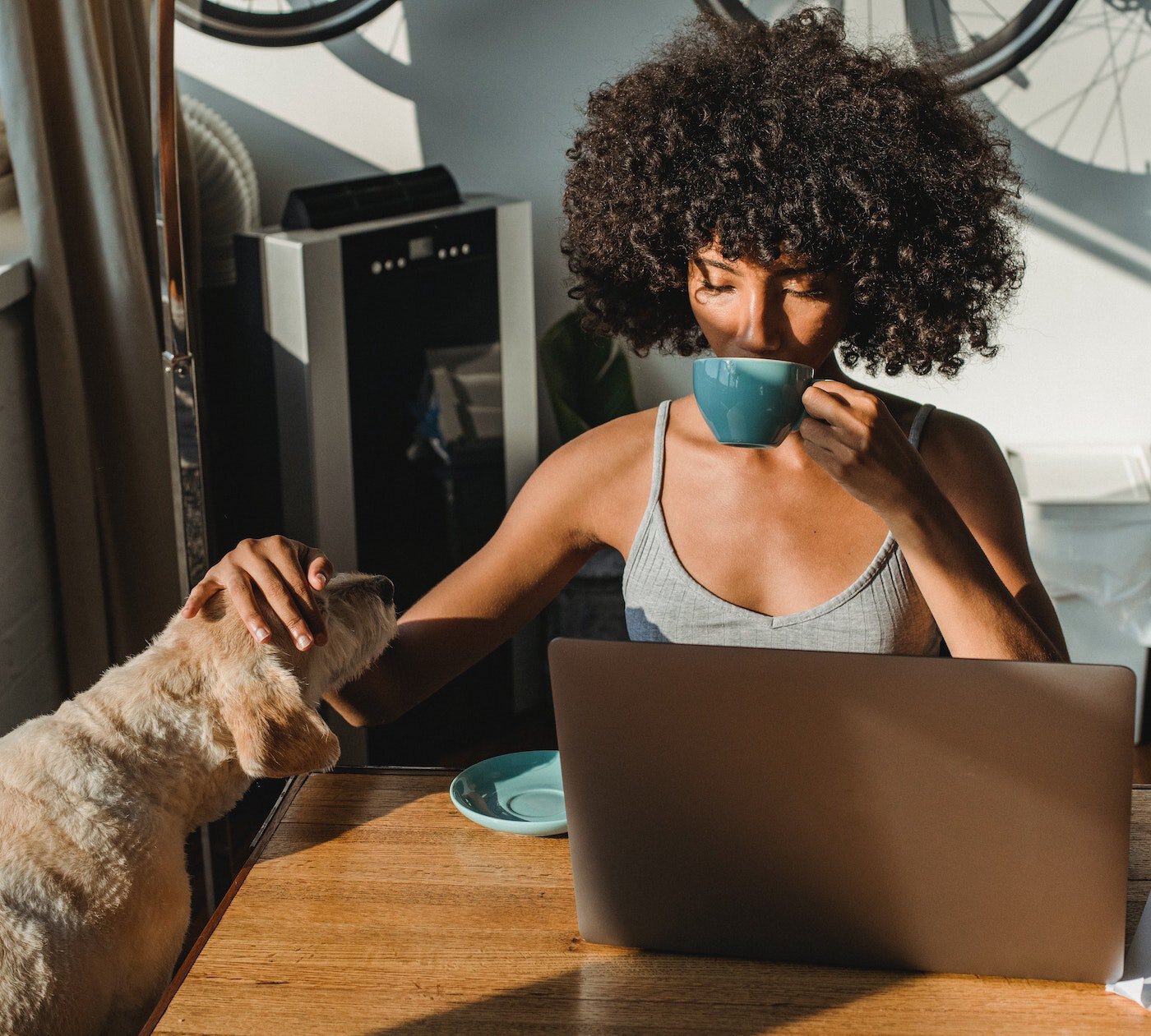Woman petting her dog & looking at computer