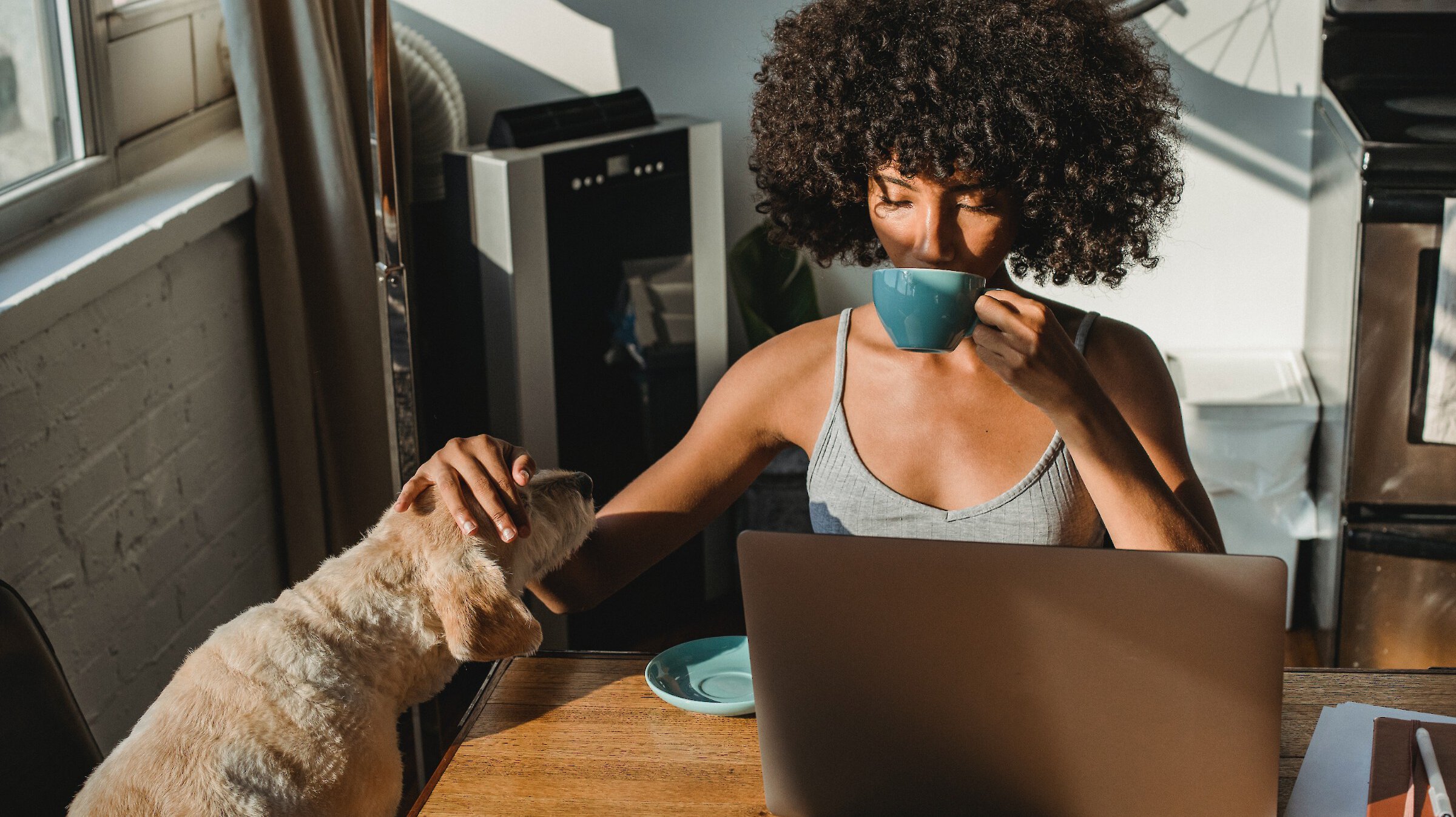 Woman drinking from a mug looking at her screen and petting dog at same time