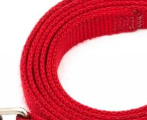 How to Choose a Leash for Your Dog