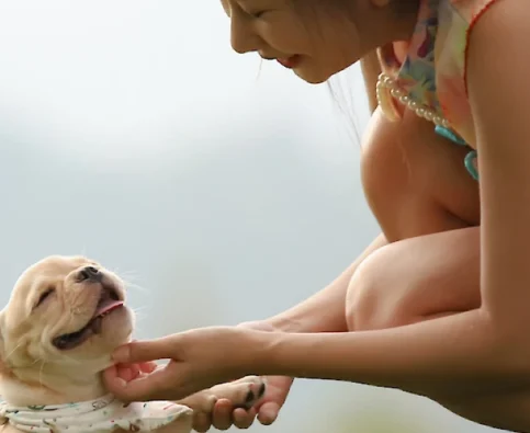 The Best Ways to Show Affection to your Dog