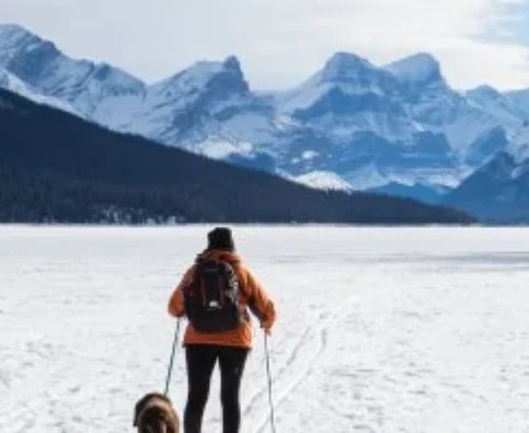 Avoid the Winter Dog Blues