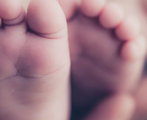 Help Your Dog and Baby Get Acquainted After the Baby Arrives