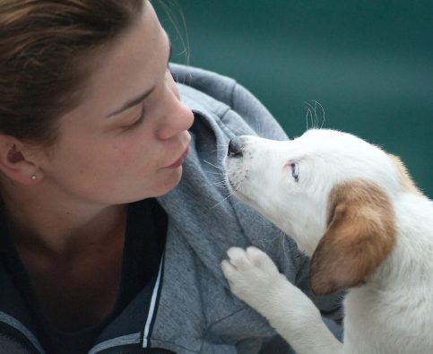 How to Establish a Loving and Respectful Relationship with your Dog