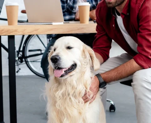 Bringing Your Dog to the Dog-Friendly Workplace