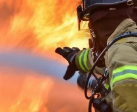 Fire Safety Includes Your Dog