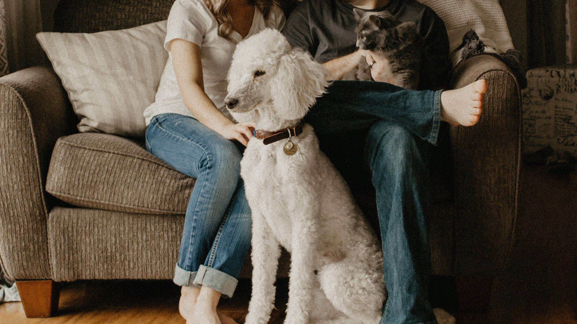 Bringing Home A Rescue Dog