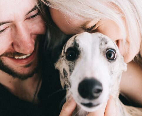 Top 10 Tips Every Dog Owner Should Know