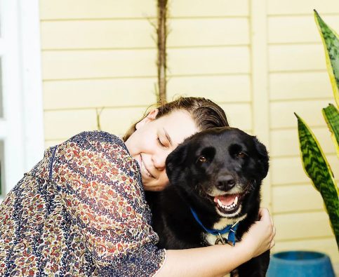 What is Holistic Dog Training?