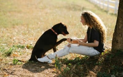 Bark Busters and Positive Reinforcement