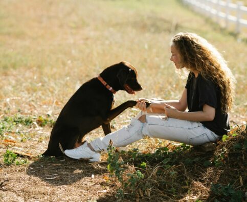 Bark Busters and Positive Reinforcement