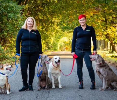Top 5 Reasons Why Bark Busters is the Best Franchise for First-Time Business Owners