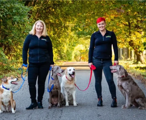 Top 5 Reasons Why Bark Busters is the Best Franchise for First-Time Business Owners