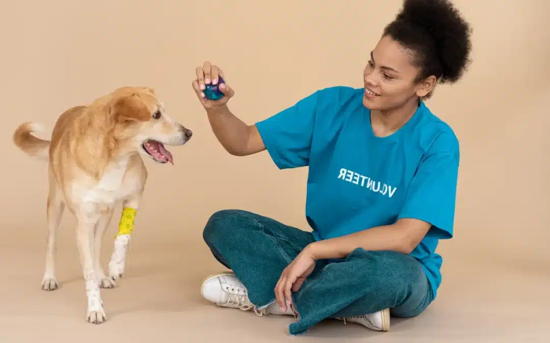 5 Signs Your Dog Needs Professional Training and How to Find the Best Dog Trainer Near You