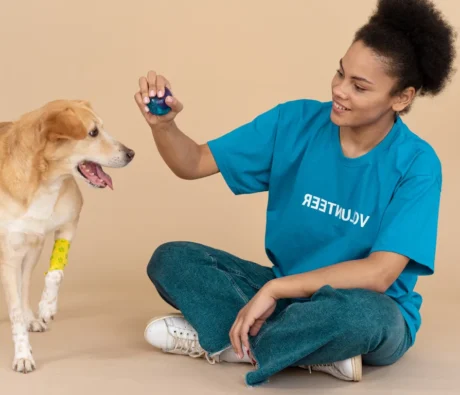 5 Signs Your Dog Needs Professional Training and How to Find the Best Dog Trainer Near You