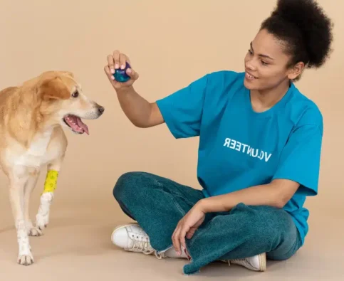 5 Signs Your Dog Needs Professional Training and How to Find the Best Dog Trainer Near You