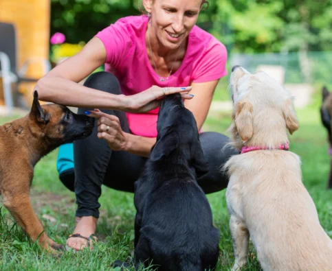 How Becoming a Bark Busters Franchisee Can Transform Your Career