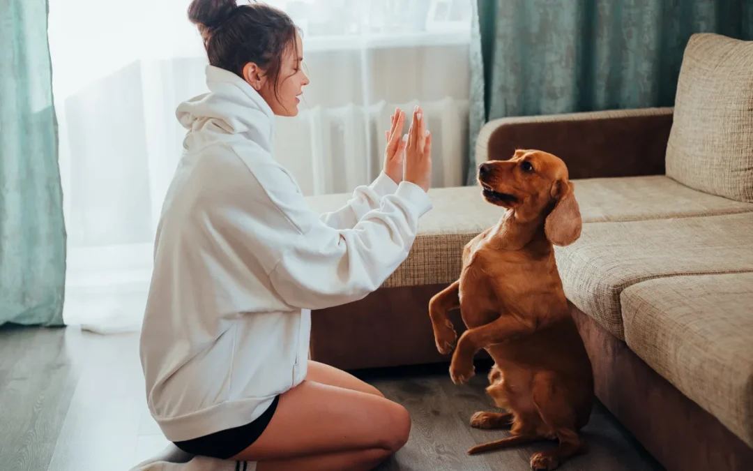 Top 7 Benefits of Puppy Obedience Training: Building the Foundation for a Well-Behaved Dog