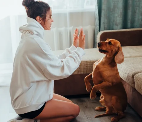 Top 7 Benefits of Puppy Obedience Training: Building the Foundation for a Well-Behaved Dog