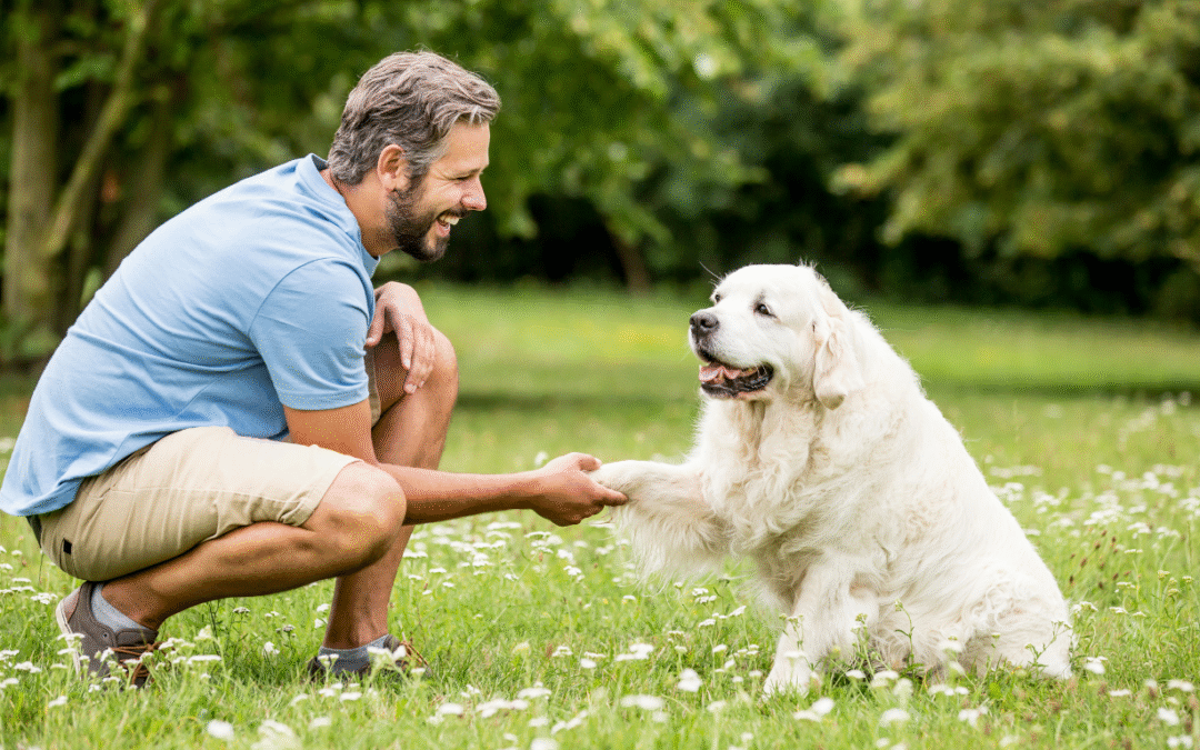 Is Owning a Dog Training Franchise Recession-Proof? What the Numbers Say