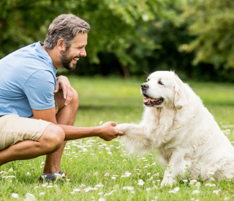 Is Owning a Dog Training Franchise Recession-Proof? What the Numbers Say