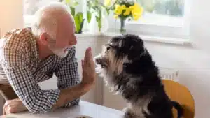 Dog and owner