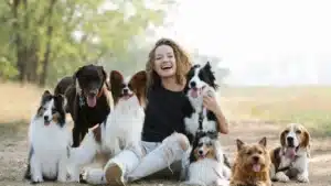 Become a dog trainer