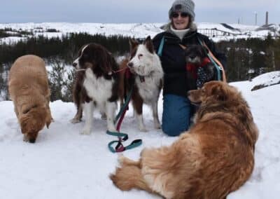 Dog training in Sudbury