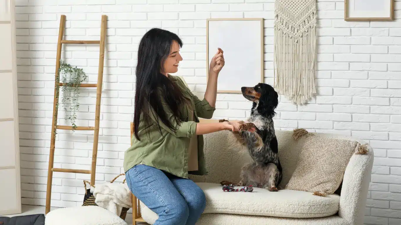 Bark Busters Dog Trainer