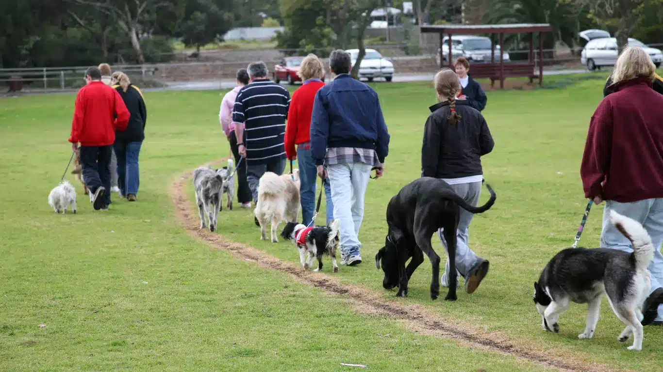 Family involved in personalised in-home dog training session