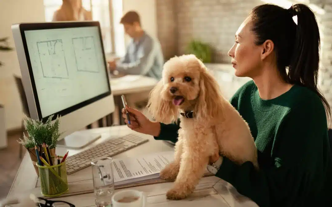 How to Stop Your Dog From Barking When Working From Home: A Complete Guide for Canadian Remote Workers