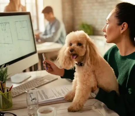 How to Stop Your Dog From Barking When Working From Home: A Complete Guide for Canadian Remote Workers