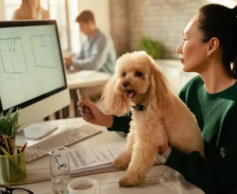 How to Stop Your Dog From Barking When Working From Home: A Complete Guide for Canadian Remote Workers