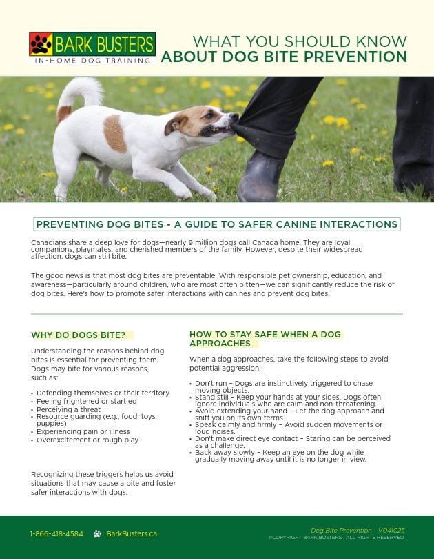 Prevent dog Bite