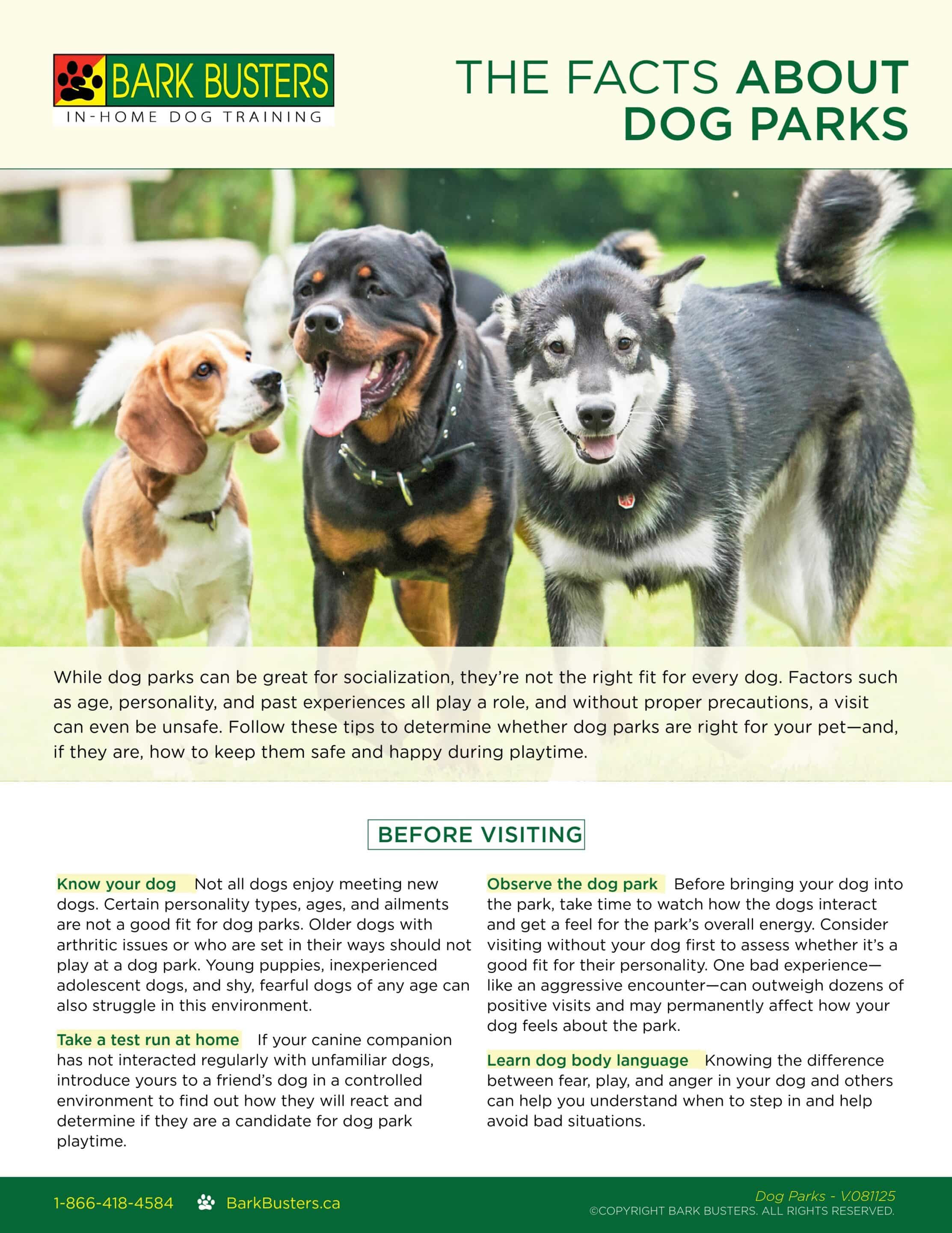 The facts about Dog Parks