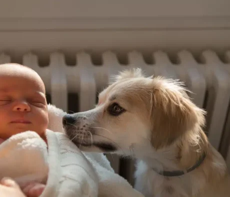 Training Your Dog After Having a Baby: A Complete Guide for Growing Canadian Families
