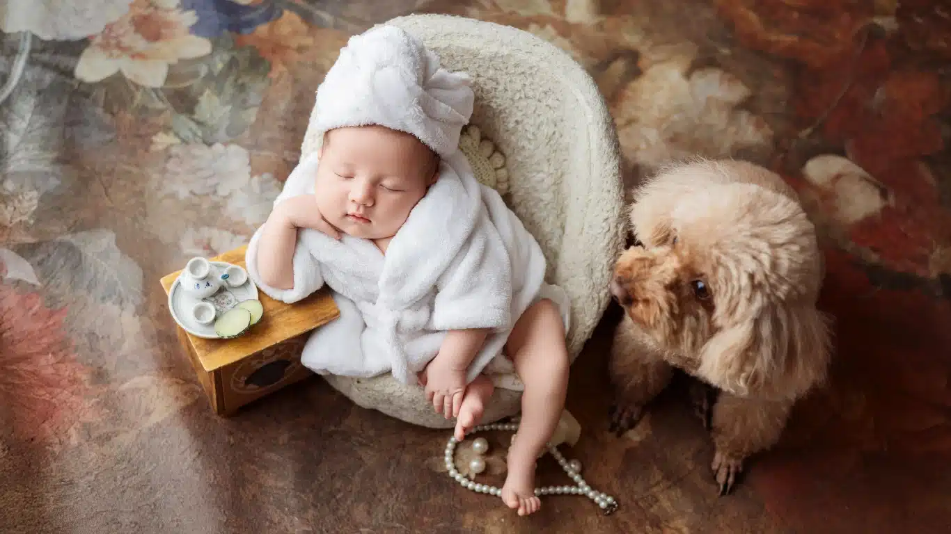 Family dog adjusting to life with newborn baby using positive training and supervised interactions in Canada