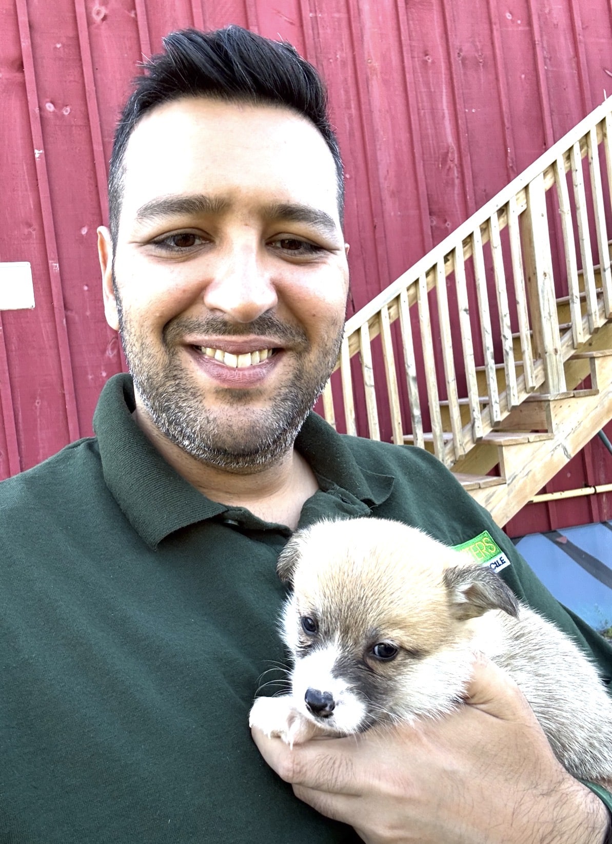 Kush and Corgi Puppy