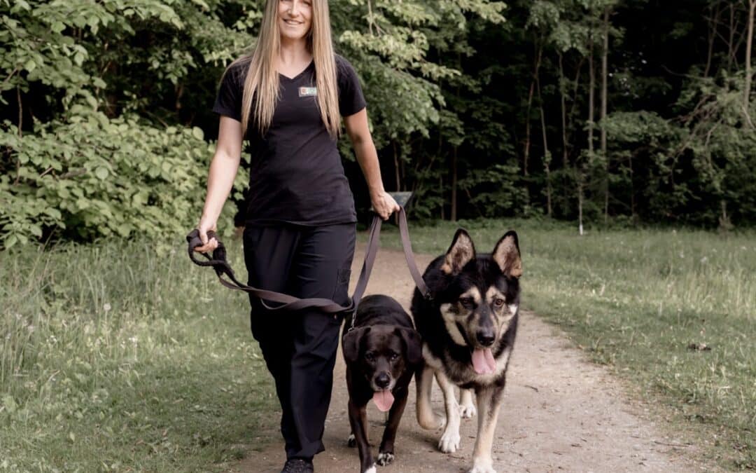 Meet Your Windsor Dog Trainer: Kelly Gould