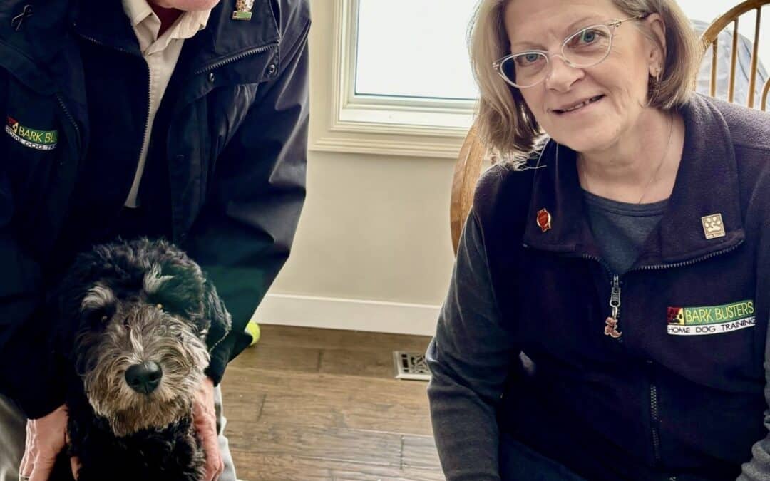 Meet Your Edmonton Dog Trainers: Carol & Greg Guy