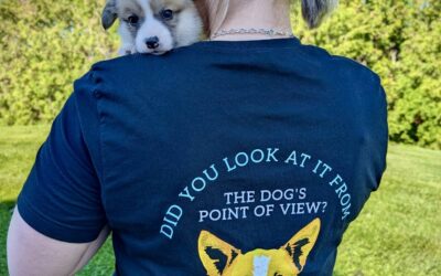 Meet Your York Region Dog Trainer: Kyli Horton