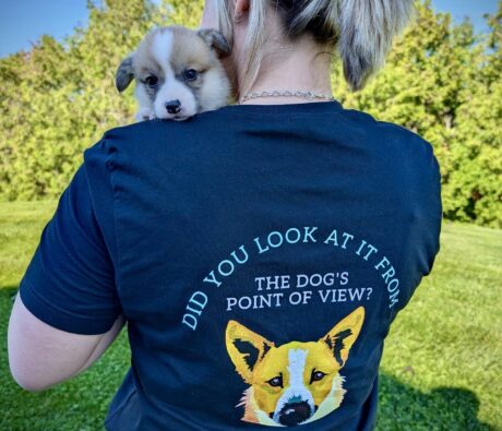 Meet Your York Region Dog Trainer: Kyli Horton