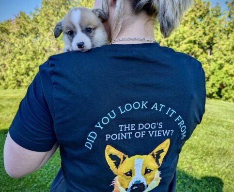 Meet Your York Region Dog Trainer: Kyli Horton