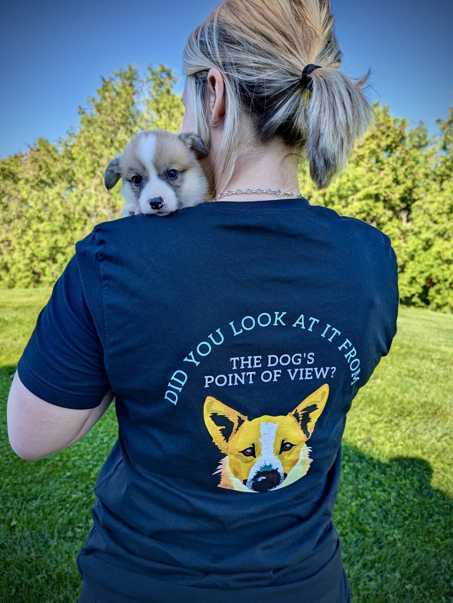 Kyli Horton Bark Busters York Region Corgi puppy