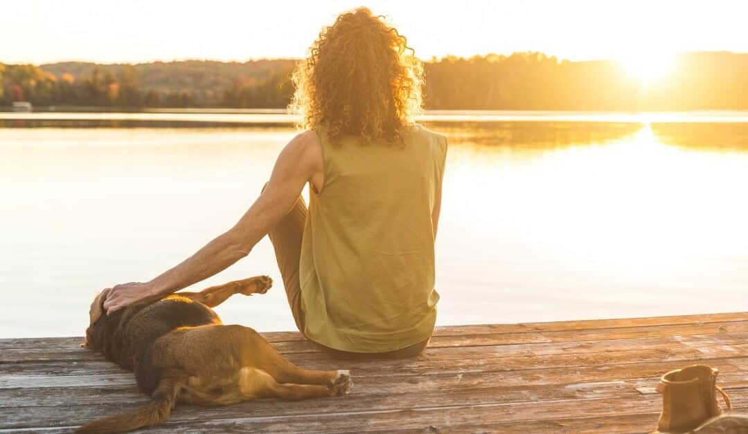 The Complete Guide To Cottage Safety With Your Dog