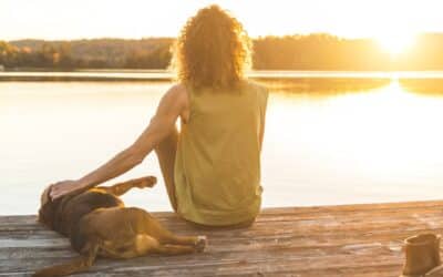 The Complete Guide To Cottage Safety With Your Dog