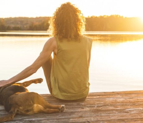 The Complete Guide To Cottage Safety With Your Dog
