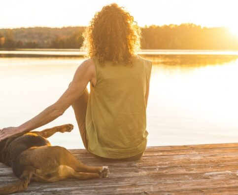 The Complete Guide To Cottage Safety With Your Dog