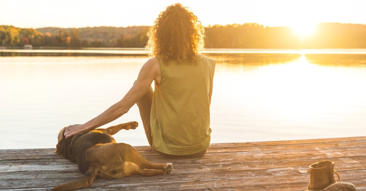 Complete guide to Cottage with Dog - Bark Busters In Home Dog Training