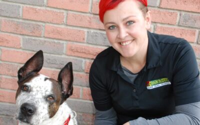 Meet Your Hamilton, Brantford & Haldimand Dog Trainer: Michelle Bailey
